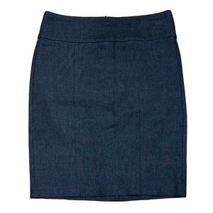Banana Republic Women's Grey Zip Pencil Skirt Size 6 Stretch